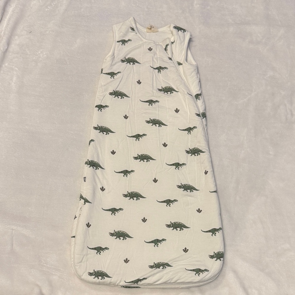 Kyte Dinosaur Print Baby Sleeping Sack